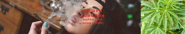 твердый Инта