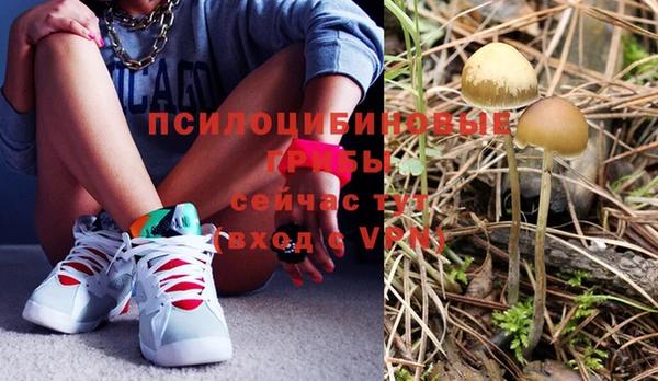 метадон Абаза