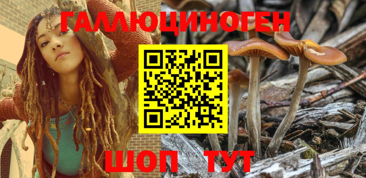Псилоцибиновые грибы мухоморы Электросталь