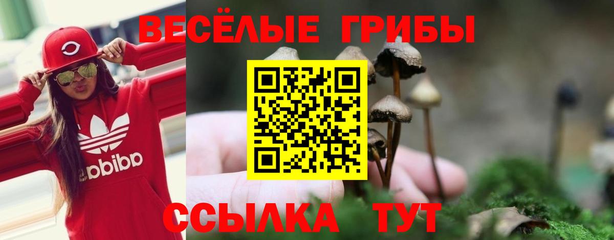 Галлюциногенные грибы Cubensis  Вход с VPN  Галлюциногенные грибы мухоморы  Электросталь 