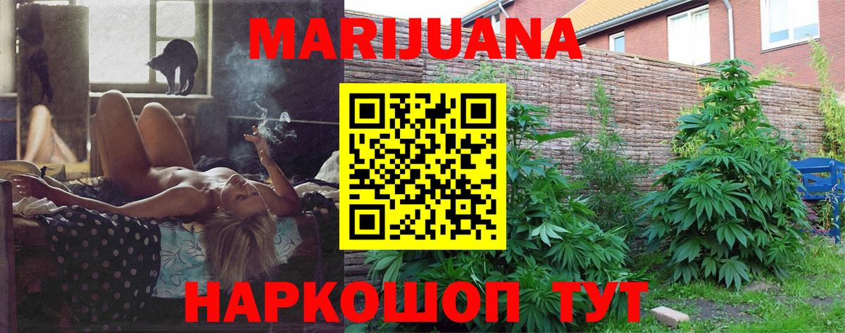 Конопля план  Вход с VPN  Бошки марихуана конопля  Электросталь  Бошки Шишки гибрид  Марихуана индика 